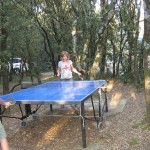 aire de jeux tennis de table
