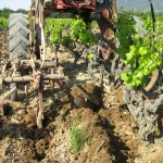 printemps décavaillonnage