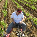 printemps décavaillonnage